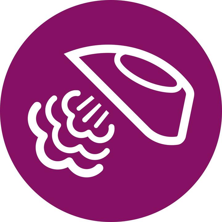Actual product image Philips EasySpeed (2000 W, 25 g/min)