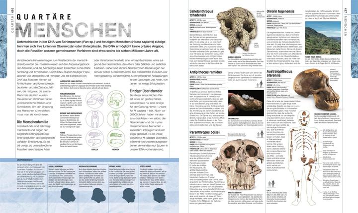 Produktbild Dinosaurier und andere Lebewesen der Urzeit (Deutsch, Christopherua, Thomas, Jennifer/Duffin, BarryA/Clack, 2020)