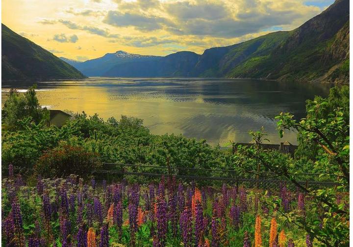 Image du produit Ravensburger Fjord en Norvège (1000 pièces)