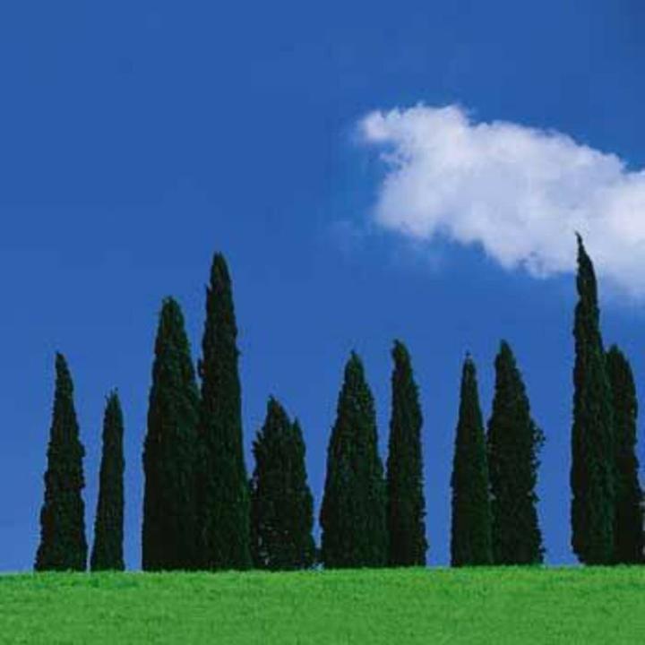 Immagine prodotto Hama Filtro polarizzatore (52 mm, Filtri polarizzanti, 52 mm)