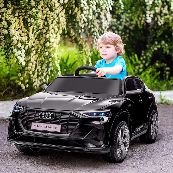 Image du produit Jamb Audi e-tron (12 V)