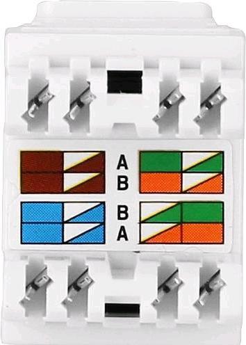 Produktbild EGB Netzwerk Adapter cat 6RJ45