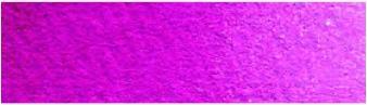 Pourpre Magenta