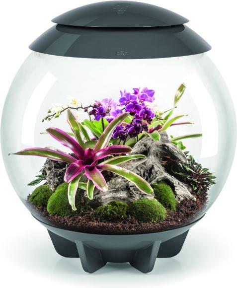 Image du produit Oase biOrb AIR 60 gris