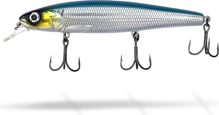 Sardine