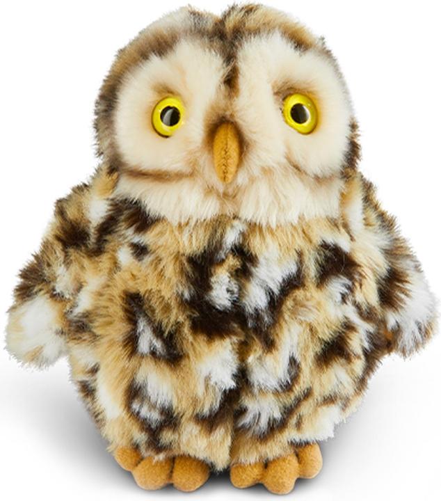 Actual product image Living Nature Little Owl (16 cm)