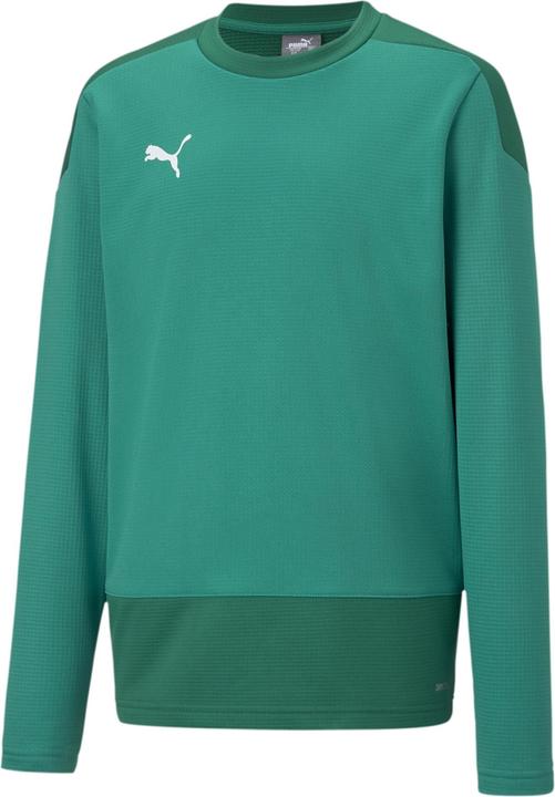 Puma TeamGOAL 23 Trainingssweat Kinder