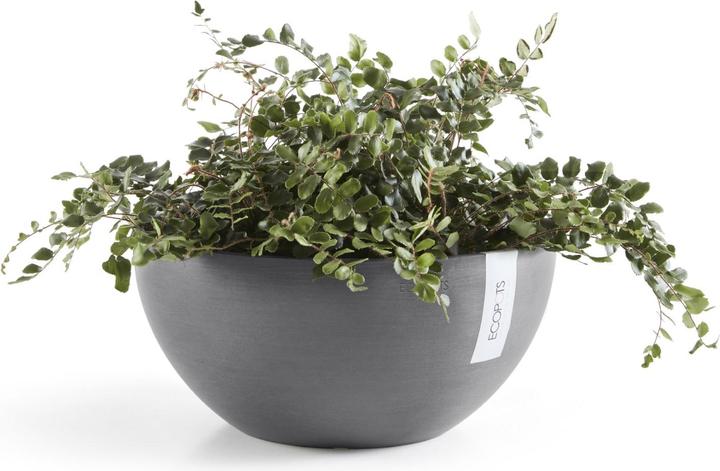 Immagine prodotto Ecopots Bruxelles (25 cm)