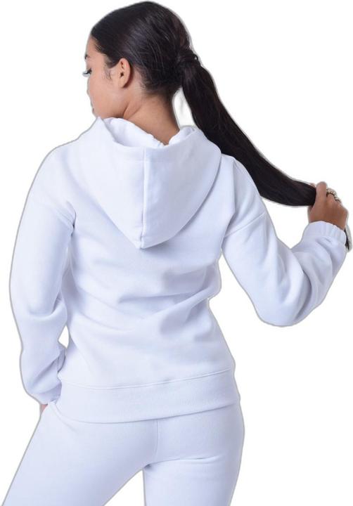 Actual product image Project X Paris omen's embroidered hoodie (L)