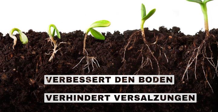 Produktbild GrowsArtig Alfa Boost (0.99 kg, 1 l)