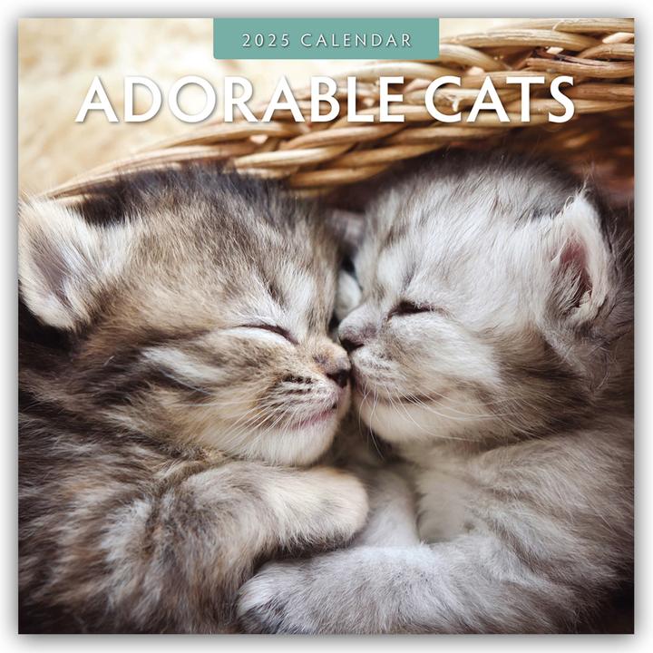 Produktbild Red Robin Publishing Ltd:Adorable Cats (305 x 305 mm, Harter Einband, Deutsch, Englisch)