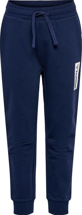 Actual product image hummel Hmlflow Pants (134)