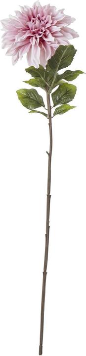 Image du produit Hill Interiors - Fleur artificielle THE NATURAL GARDEN COLLECTION (54 cm)