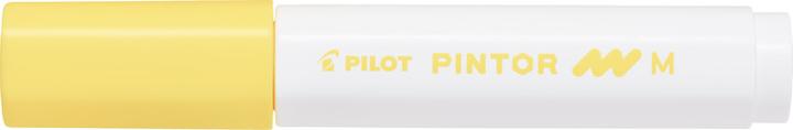 Produktbild Pilot Pintor Medium Set à 6 Standard (Mehrfarbig, 1.40 mm, 6 x)