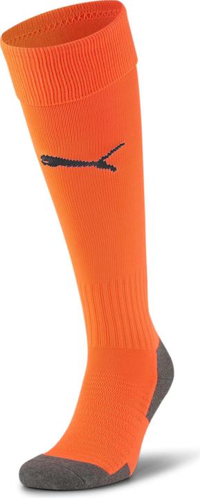 Actual product image Puma Team LIGA Socks CORE-703441 (38)