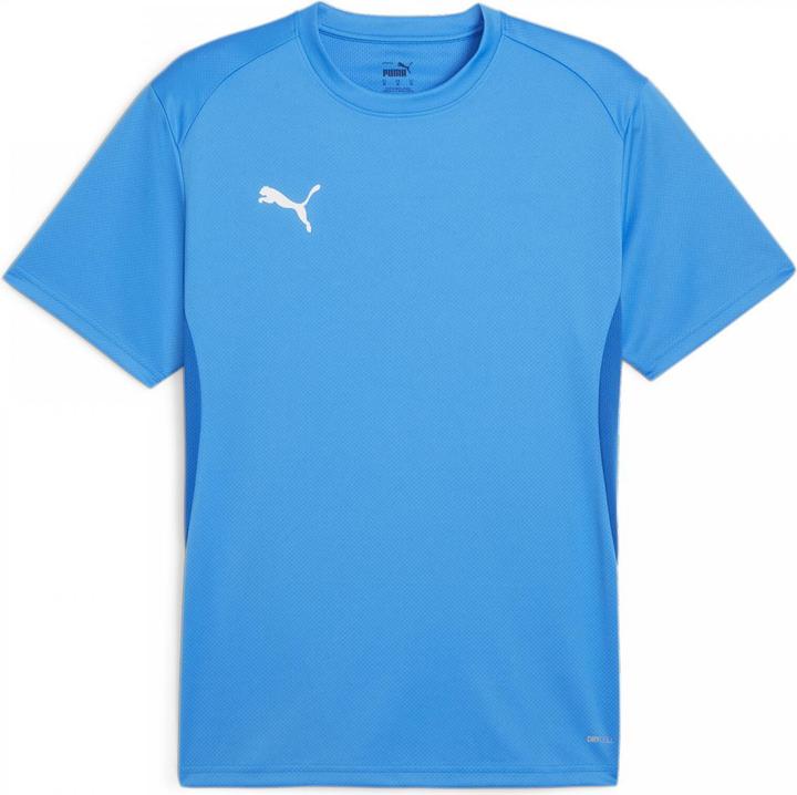 Actual product image Puma teamGOAL Jersey (3XL)