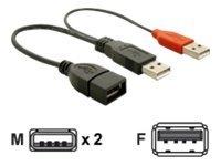 Actual product image Delock Y-cable 2 x USB 2.0 type-A to 1 x USB 2.0 type-A (0.22 m, USB 2.0)