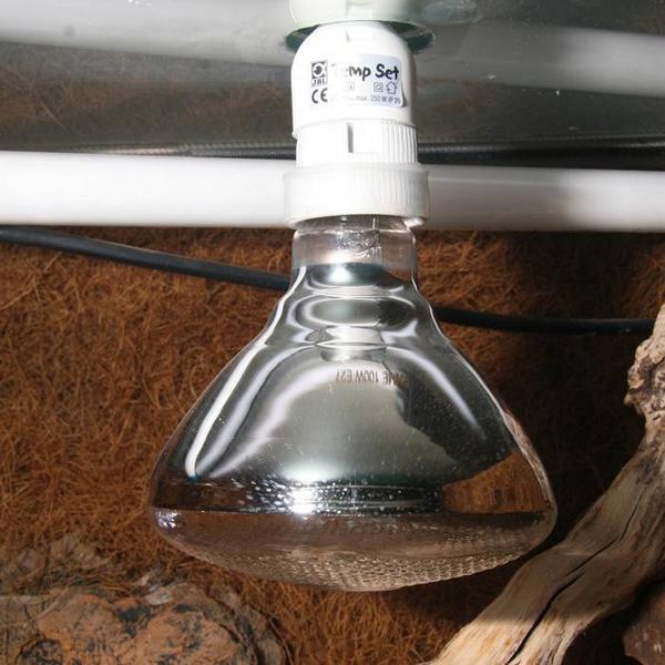 Immagine prodotto JBL Aquaristik und Terraristik Spot UV solare più 80 W / E27 (UVB)