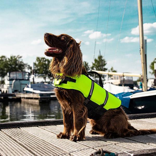 Actual product image Nobby Dogs buoyancy aid (40, Dog life jacket)