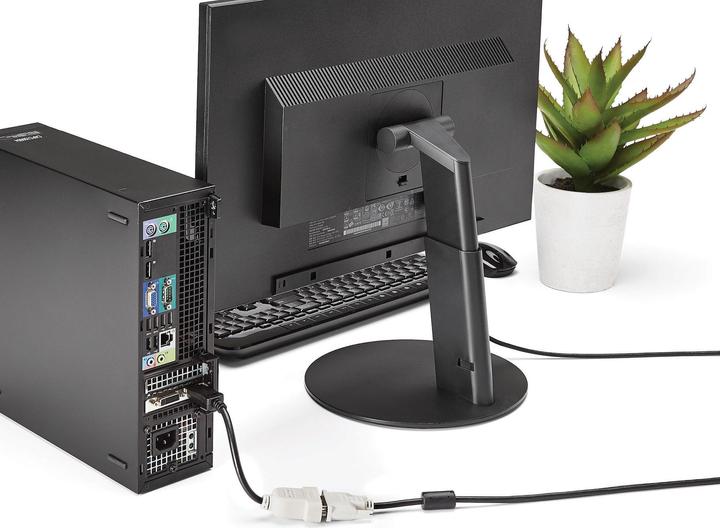 Immagine prodotto StarTech Convertitore Video Displayport (DVI, 24 cm)
