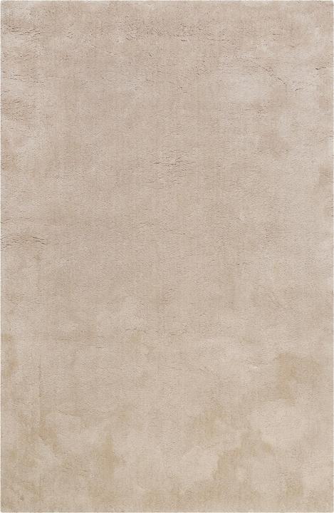Beige grey