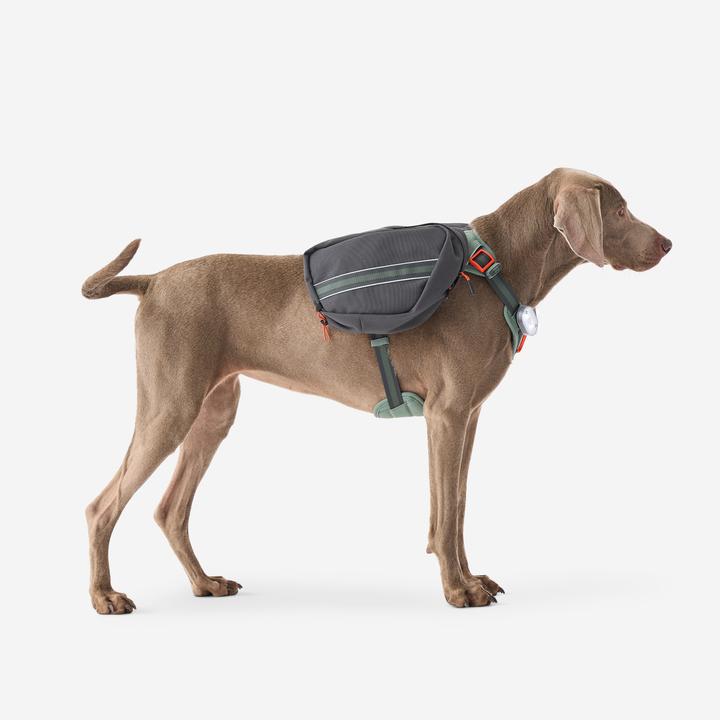 Image du produit Caperlan Harnais de randonnée pour chien (S, Chien)