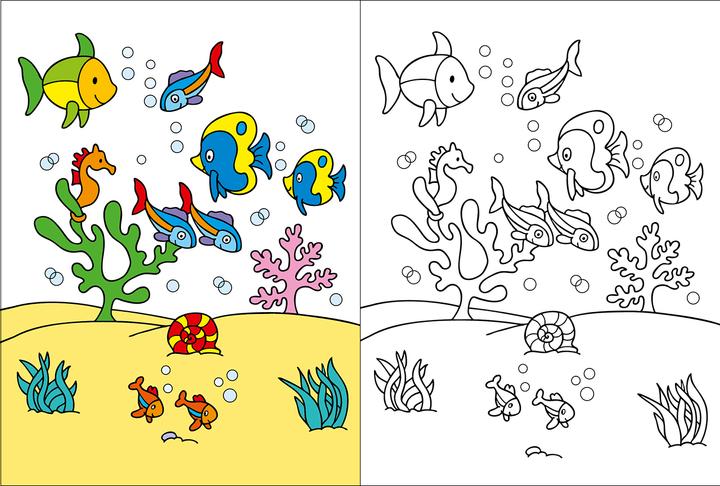 Actual product image My big colorful coloring book (parrot)