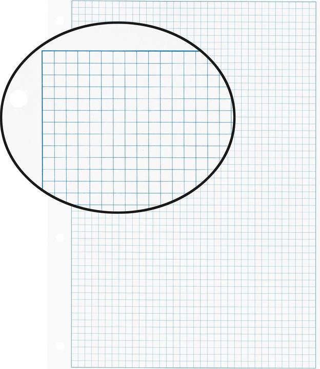 Image du produit Biella Feuilles d'insertion avec cadre