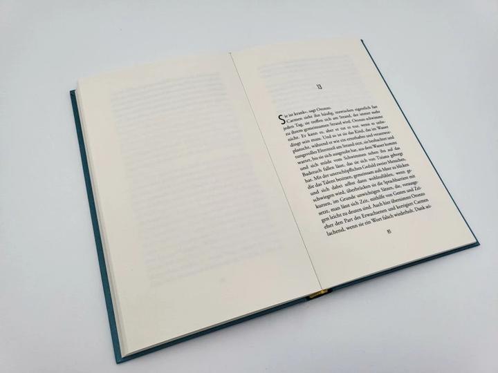 Produktbild Monterosso mon amour (Deutsch, Ilja Leonard Pfeijffer, Ira Wilhelm, 2022)