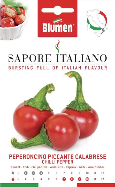 Actual product image Blumen Chili pepper Piccante Calabrese (Vegetable seeds)