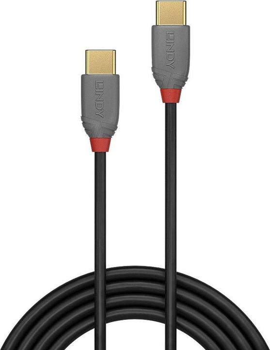 Actual product image Lindy Anthra Line (3 m, USB 2.0)