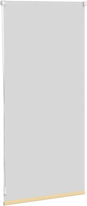 Image du produit VidaXL Aulikki (40 x 100 cm)