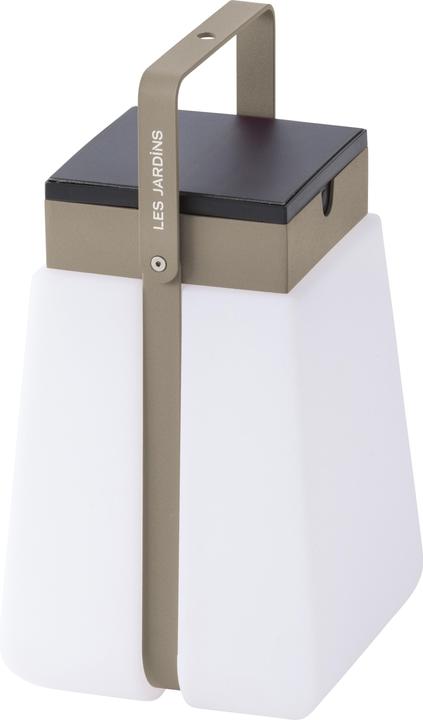Beige Muskat