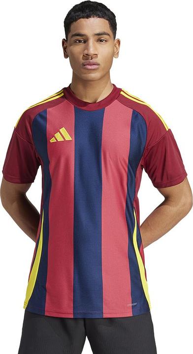 Actual product image adidas Striped 24 Jersey (3XL)