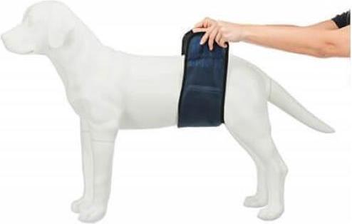 Immagine prodotto Trixie Fasciatura maschile M 45-55cm (M, Gilet per cani)