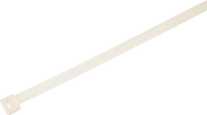 Actual product image 3M Cable tie 280 x 4.5mm Polyamide 6.6 220N Natural FS-280C-C (Plastic cable ties, 280 mm, 100 pcs.)