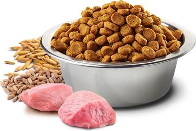 Produktbild Farmina Trockenfutter N&D Tropical Puppy Mini Lamm, 1.5 kg (Junior, Welpe + Kitten, 1 Stk., 1500 g)