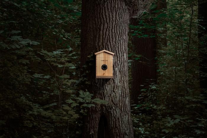 Image du produit WildcameraXL Mangeoire pour oiseaux camouflage EZ Nesteye, Couleur de base : brun, Espèce : Oiseau