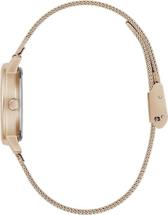 Produktbild Guess Watches LADIES GW0666L3
