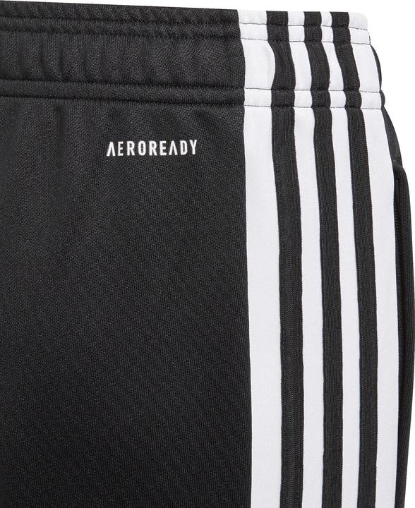 Actual product image adidas Squadra 21 Training Pants Kids (140)