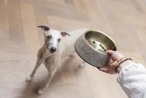 Actual product image Designed by Lotte Dog bowl Meis (0.35 l)