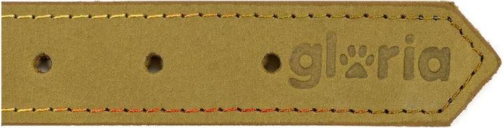 Immagine prodotto Gloria Collare per cani Oasis 50 cm verde (50 x 2,1 cm) (Pelle nabuk)