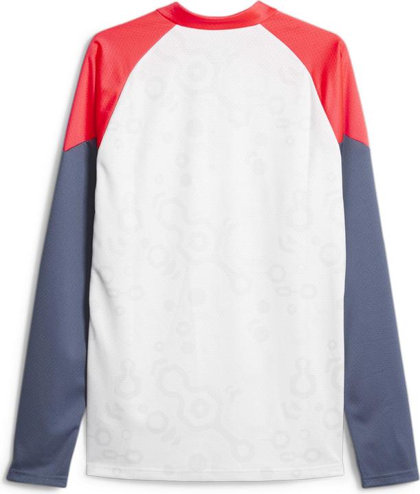 Actual product image Puma individualCUP 1/4 Zip Top (L)