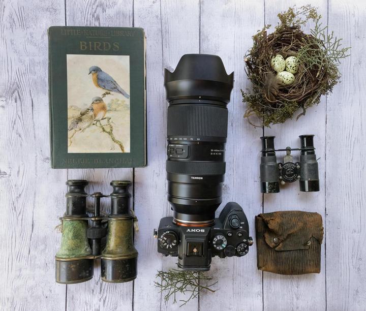 Produktbild Tamron AF 50-400mm F/4.5-6.3 Di III VC VXD (Sony E, APS-C / DX, Vollformat)