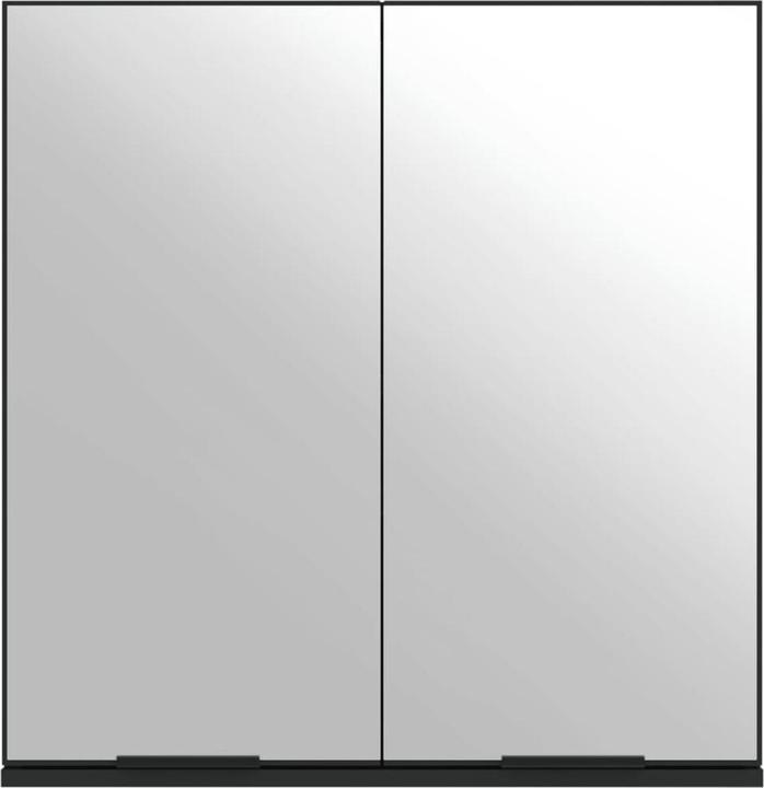 Image du produit VidaXL Spiegelschrank (64 x 20 x 67 cm)