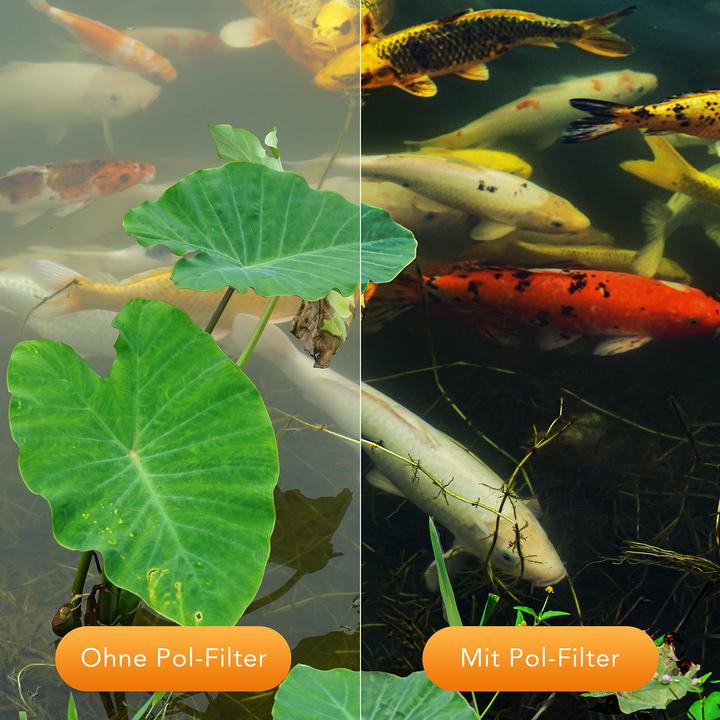 Image du produit Walimex pro par filtre polarisant Circulaire trempé 55 mm (55 mm, Filtre polarisant, 55 mm)