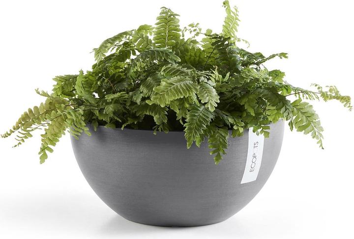 Immagine prodotto Ecopots Bruxelles (25 cm)