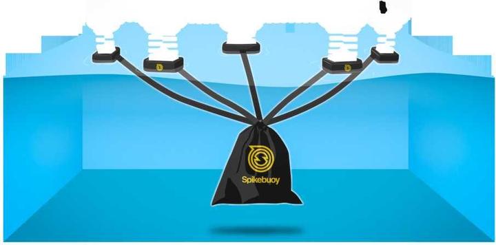 Actual product image Spikeball Spikebuoy