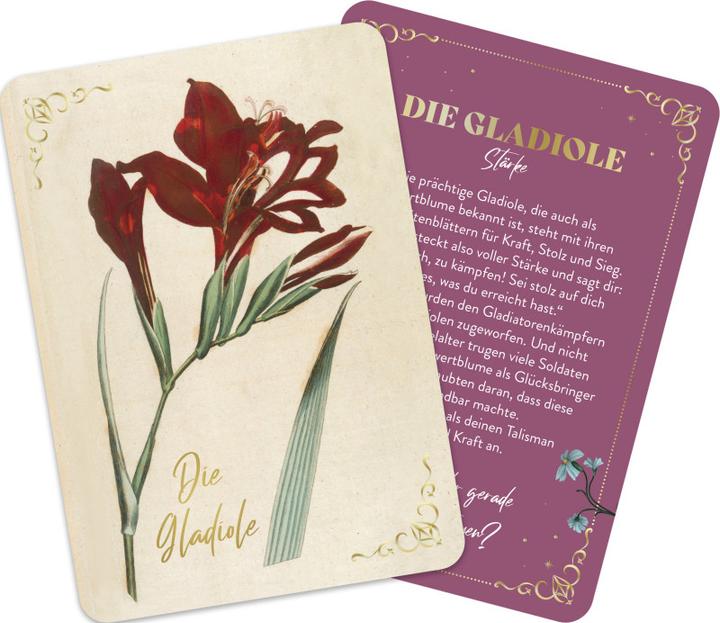 Produktbild Die geheimnisvolle Sprache der Blumen - 50 Orakelkarten für das ganze Jahr (Deutsch, Groh Verlag, 2024)