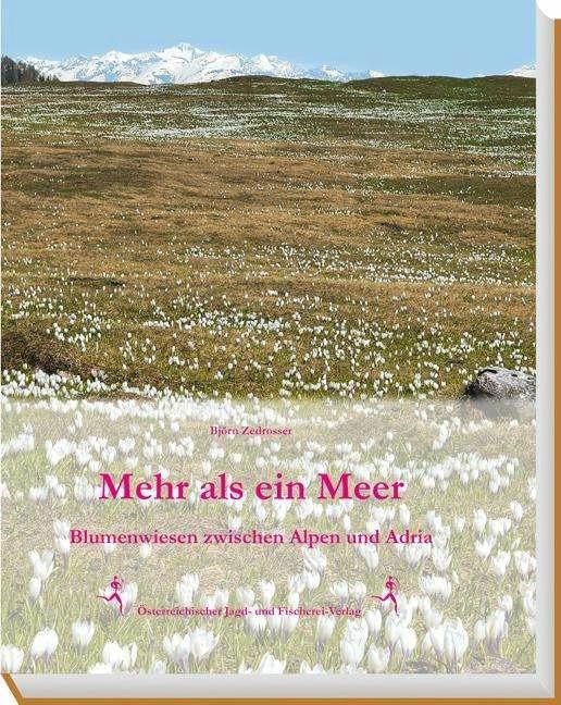 Immagine prodotto Mehr als ein Meer (Tedesco, Bjorn Zedrosser, 2018)